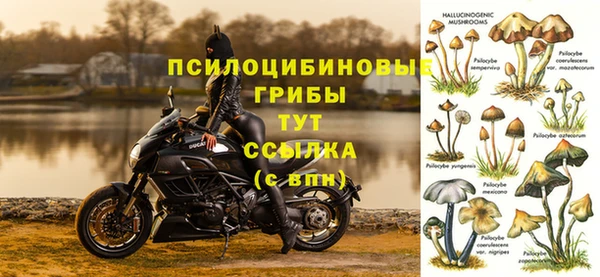 mdpv Абдулино